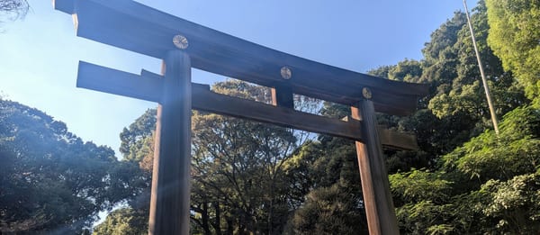 A wooden torii gate and the forest at Meiji Jingu
