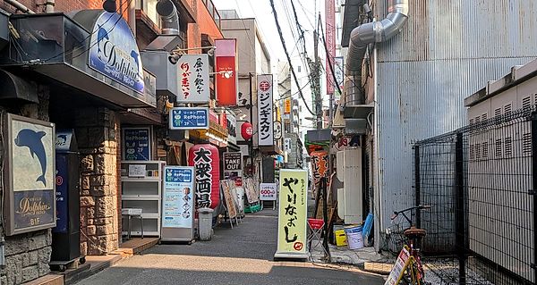 Kameido's Retro Drinking Alleys
