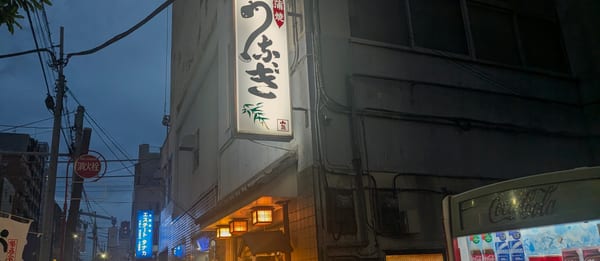 Koizumi, Eel