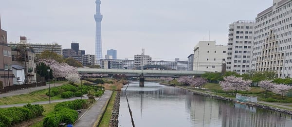 Kyu-Nakagawa Riverside Park