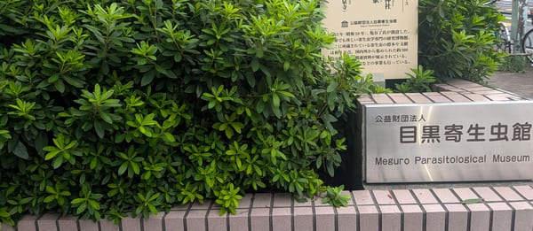 Meguro Parasitological Museum