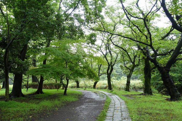 Nishiogikubo