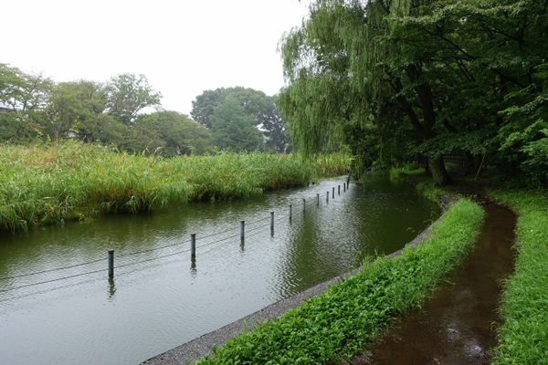 Zenpukuji Park