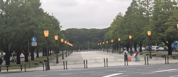 Imperial Palace Outer Garden and Nijubashi