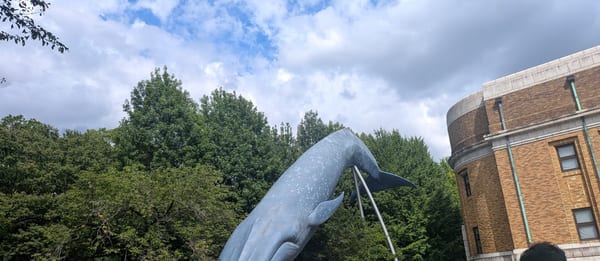 National Museum of Nature and Science